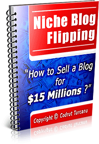 nicheblogflipping-3d---small