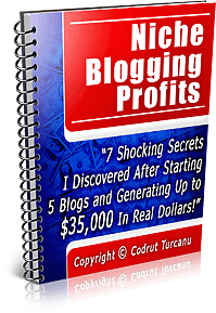 nicheblogging-3d-small-new